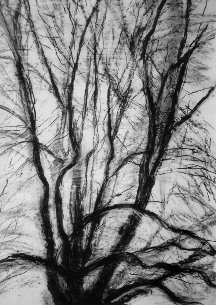 Tree 2 Winter 96 145 X 113