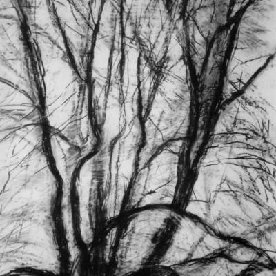 Tree 2 Winter 96 145 X 113